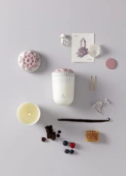 Lladro Echoes Of Nature Candle 33 Lladro Echoes Of Nature Candle -Grayson-Living 01040148 3