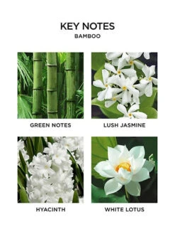 Nest Bamboo 3-Wick Candle -Grayson-Living 0400095807345 NOCOLOR A5