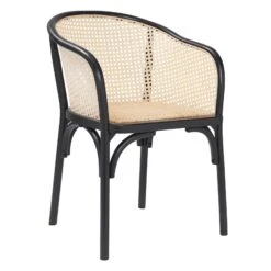 Euro Style Elsy Armchair -Grayson-Living 08190BLK MP1 1