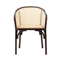 Euro Style Elsy Armchair -Grayson-Living 08190WAL MP1 01