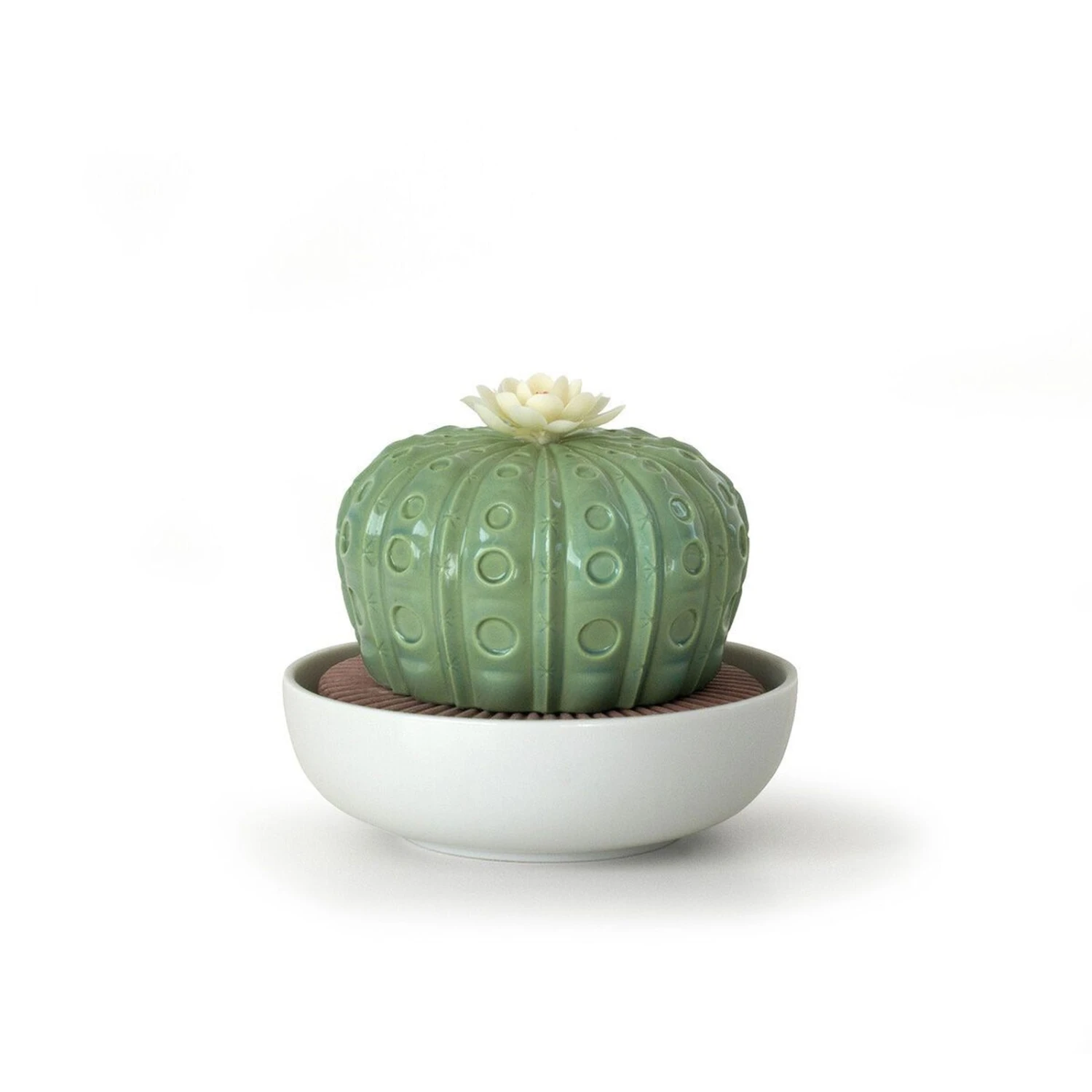 Lladro Astrophytum Cactus Diffuser 1 Lladro Astrophytum Cactus Diffuser