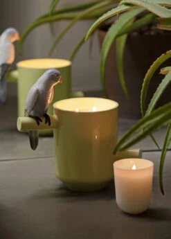 Lladro Parrot's Scented Treasure On The Prairie Scent -Grayson-Living 1040150 4