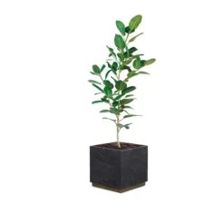 Ely Planter -Grayson-Living 109723 001 5