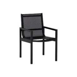 Sunpan Merano Dining Armchair - Set Of 2 DSC
