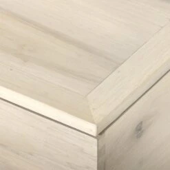 Trey Trunk -Grayson-Living 224491 003 DET 4 54c1df25 95c2 4745 92af 213bfd46be7e