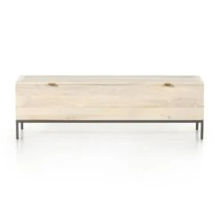 Trey Trunk -Grayson-Living 224491 003 FRT 1