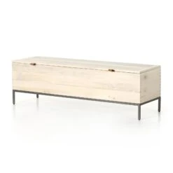 Trey Trunk -Grayson-Living 224491 003 PRM 1