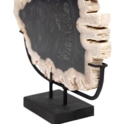 Petrified Wood Sculpture -Grayson-Living 227717 001 DET 1
