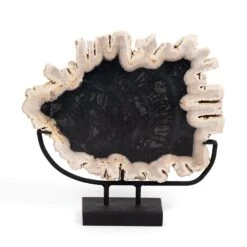 Petrified Wood Sculpture -Grayson-Living 227717 001 FRT 1