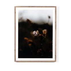 Escape II By Annie Spratt