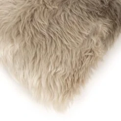 Lalo Ombre Pillow - Set Of 2 -Grayson-Living 231855 001 DET 5