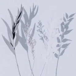 Shadow Leaves By Annie Spratt 23 Shadow Leaves By Annie Spratt -Grayson-Living 233159 001 DET 2