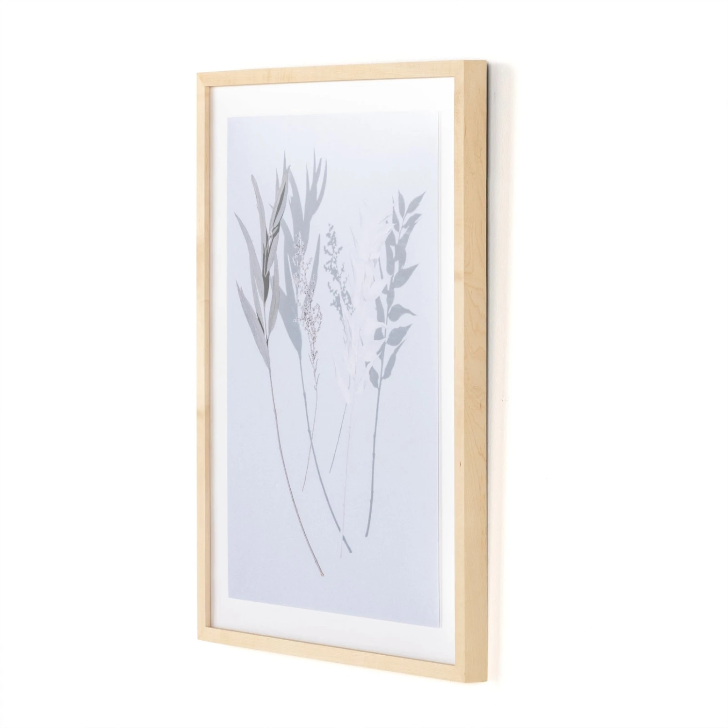 Shadow Leaves By Annie Spratt 2 Shadow Leaves By Annie Spratt - Image 2