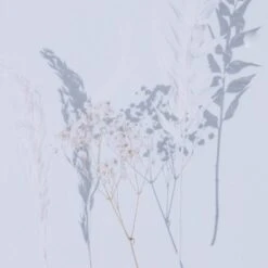 Shadow Leaves By Annie Spratt 27 Shadow Leaves By Annie Spratt -Grayson-Living 233160 001 DET 2