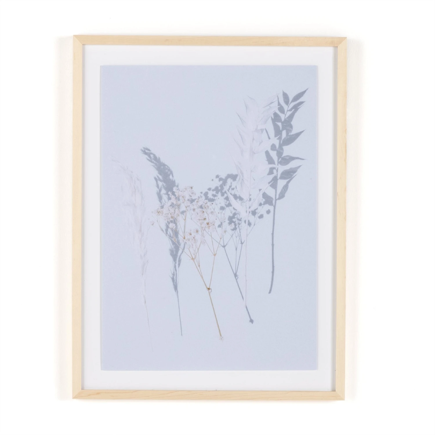 Shadow Leaves By Annie Spratt 5 Shadow Leaves By Annie Spratt - Image 5