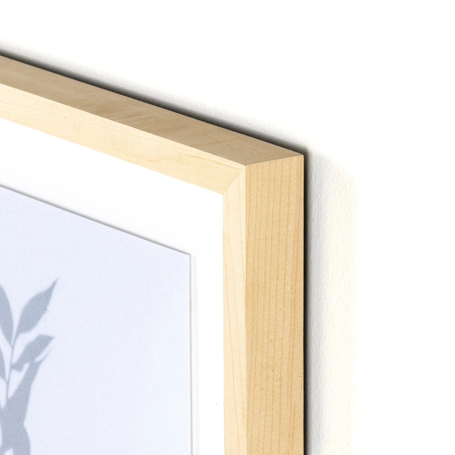 Shadow Leaves By Annie Spratt 11 Shadow Leaves By Annie Spratt - Image 11