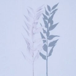 Shadow Leaves By Annie Spratt 31 Shadow Leaves By Annie Spratt -Grayson-Living 233161 001 DET 2