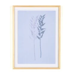 Shadow Leaves By Annie Spratt 28 Shadow Leaves By Annie Spratt -Grayson-Living 233161 001 PRM 1