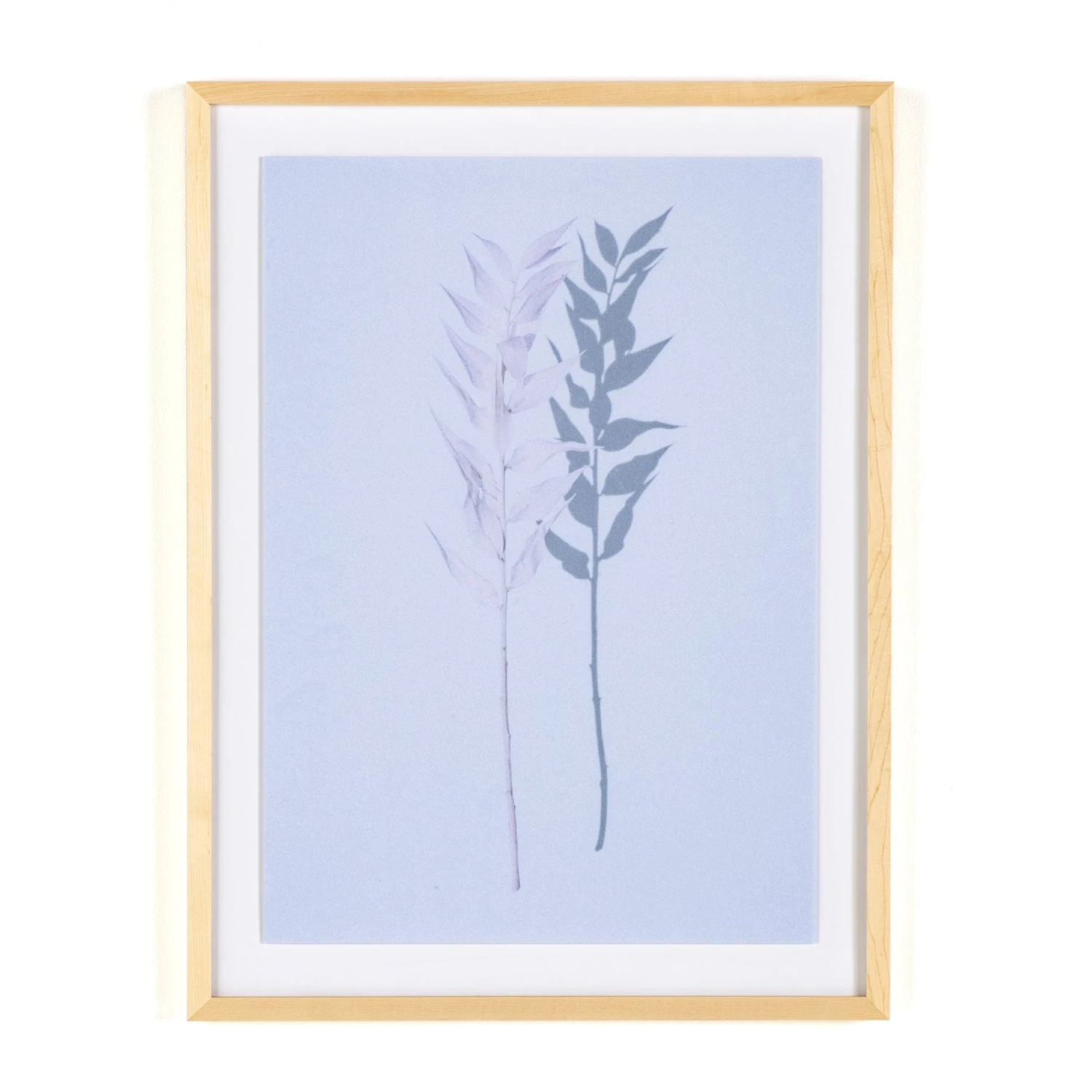 Shadow Leaves By Annie Spratt 9 Shadow Leaves By Annie Spratt - Image 9