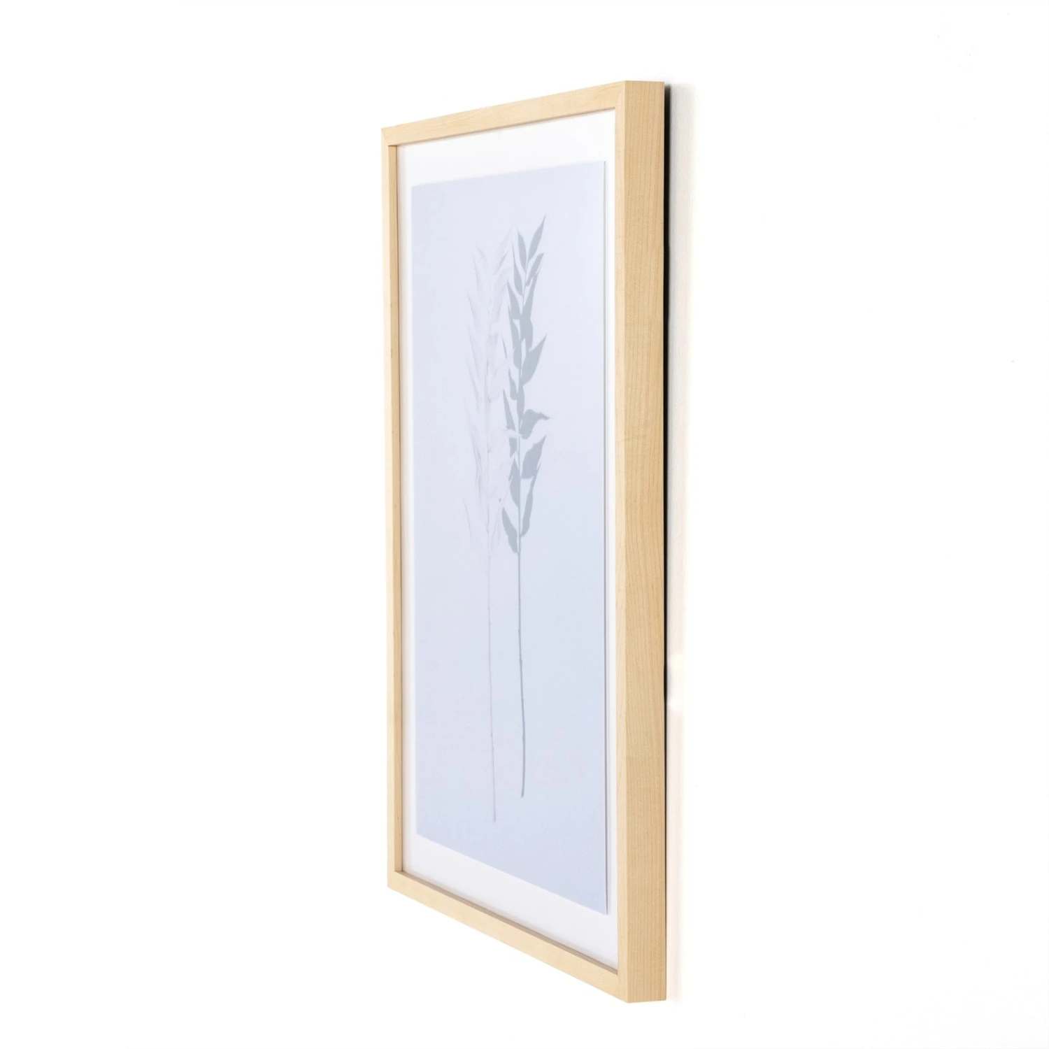 Shadow Leaves By Annie Spratt 10 Shadow Leaves By Annie Spratt - Image 10