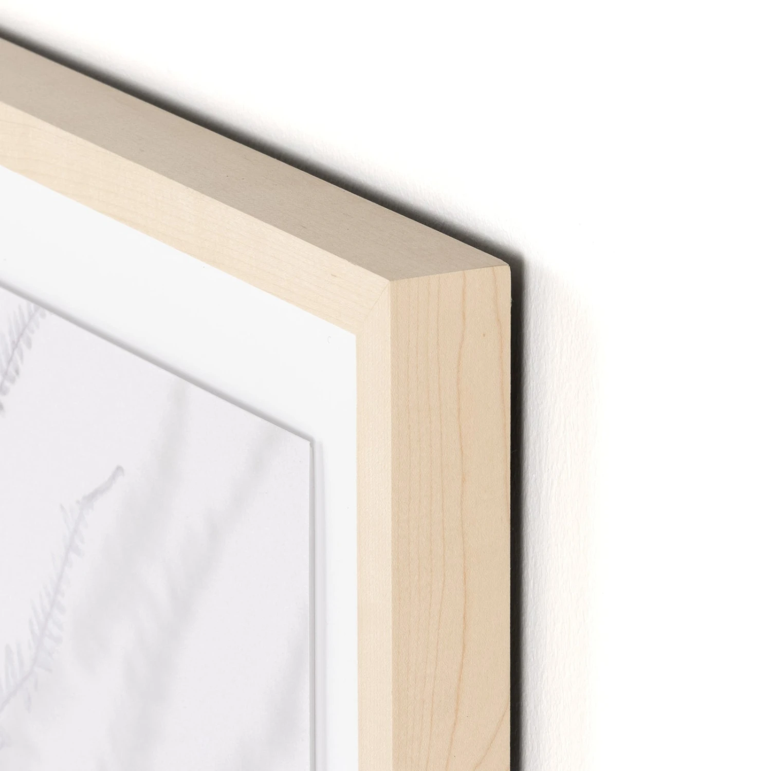 Shadow Leaves By Annie Spratt 16 Shadow Leaves By Annie Spratt - Image 16