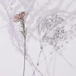 Shadow Leaves By Annie Spratt 36 Shadow Leaves By Annie Spratt -Grayson-Living 233162 001 DET 2