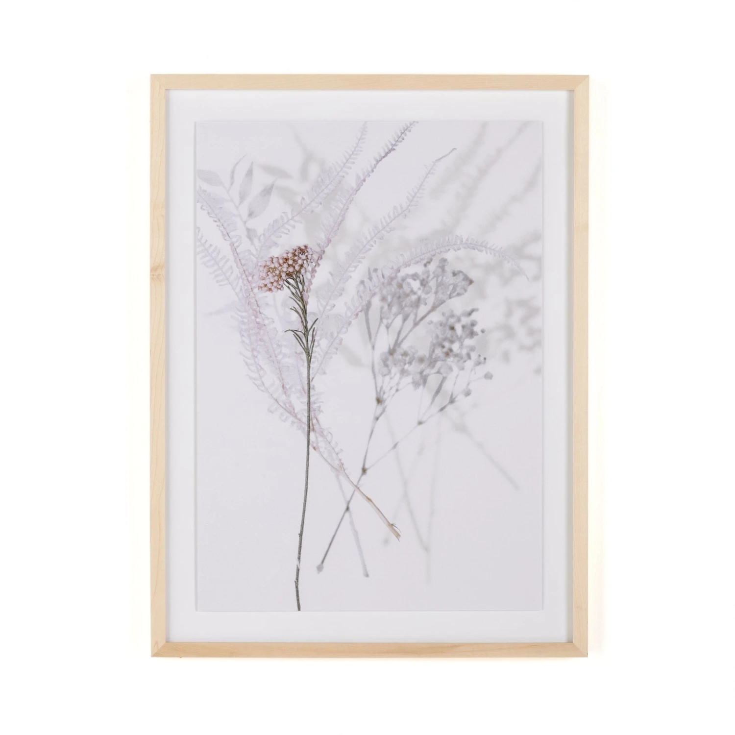 Shadow Leaves By Annie Spratt 13 Shadow Leaves By Annie Spratt - Image 13