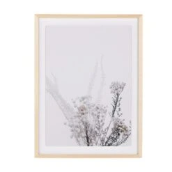 Shadow Leaves By Annie Spratt 37 Shadow Leaves By Annie Spratt -Grayson-Living 233163 001 PRM 1