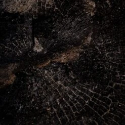 Char XI By FH Art Studio -Grayson-Living 234453 001 3