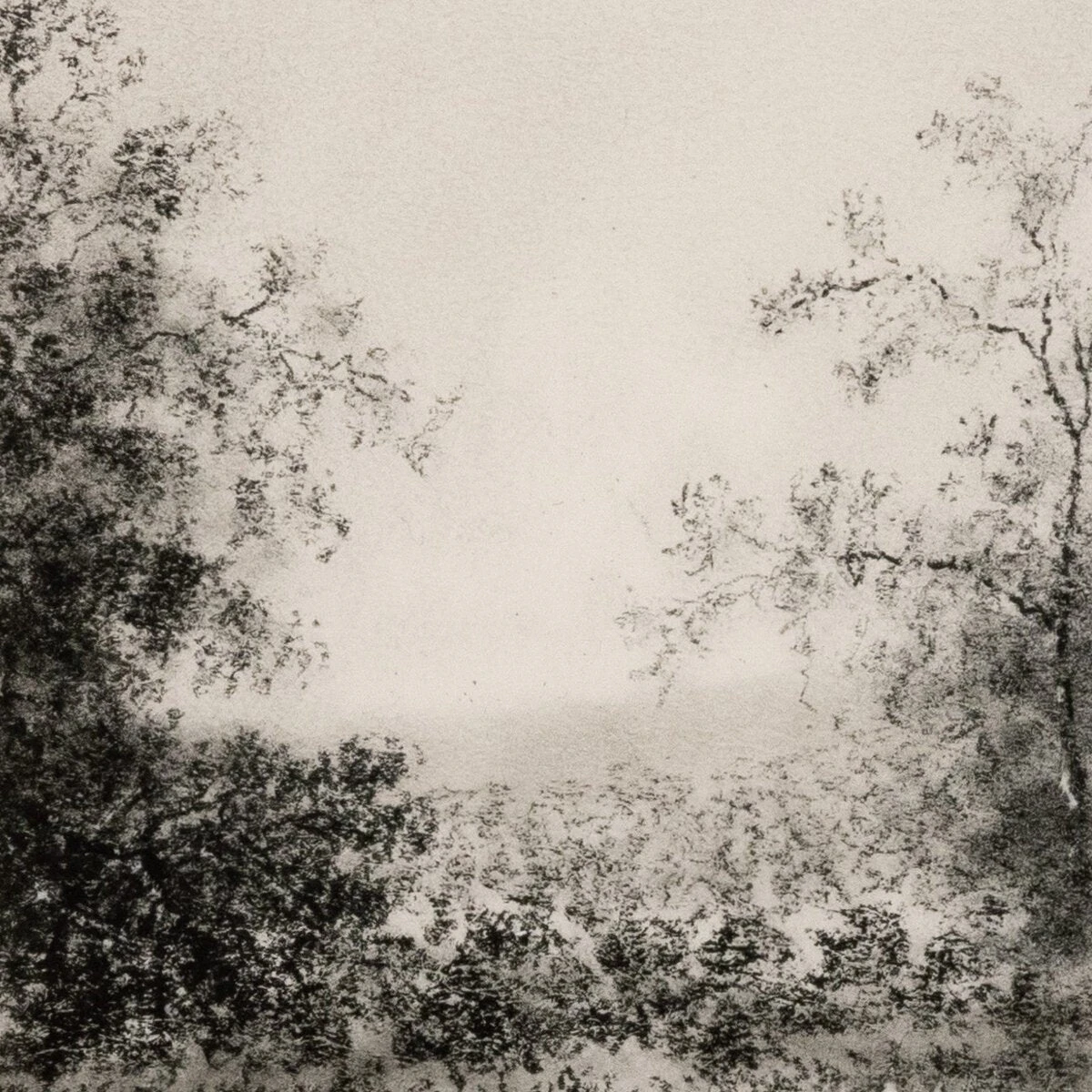 Lanape Study II By Aileen Fitzgerald 5 Lanape Study II By Aileen Fitzgerald - Image 5