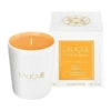 Lalique Les Compositions Parfumees Sweet Amber Scented Candle