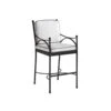Tommy Bahama Outdoor Pavlova Bar Stool 3911