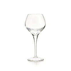 Vista Alegre Lybra Water Goblet