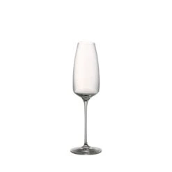 Rosenthal TAC 02 Champagne Flute