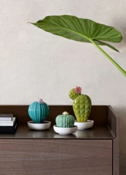 Lladro Opuntia Cactus Diffuser -Grayson-Living 6e556f6446358440d7112ca495c4ed78ab889337a5f5ec45445b12296f5cb7b8c7276d0bff8413195414084c8910f91095e4120768950cd96bf35abc951688f1