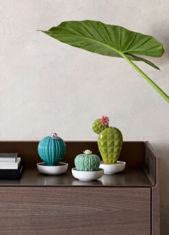 Lladro Astrophytum Cactus Diffuser 6 Lladro Astrophytum Cactus Diffuser -Grayson-Living 96ce7a4a48fd735654c4d473ff3b9b43a453995feea585809e0cb2eda9507b973b56d73b647da9020d46062bdddcaad0ddbf6af156393a0f2baf2e51bc1c8235