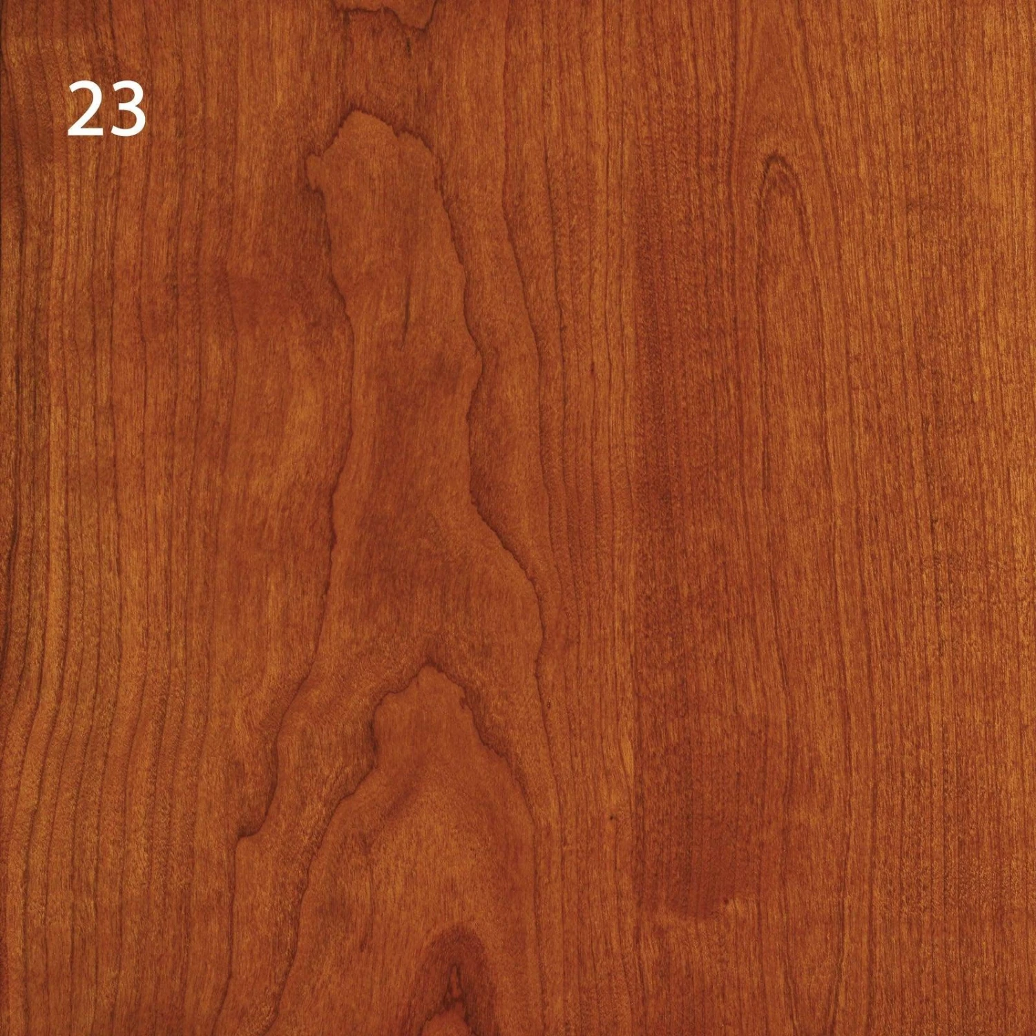 Copeland Sarah Lateral File 7 Copeland Sarah Lateral File - Image 7