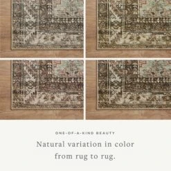Amber Lewis Billie Clay / Sage Rug DC10 -Grayson-Living BILLBIL 03CGSG 14