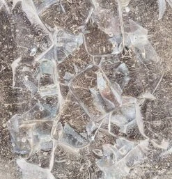 Fine Art Allison Paladino 14.5" Sconce 11 Fine Art Allison Paladino 14.5" Sconce -Grayson-Living Fine Art Handcrafted Lighting Fine Art Allison Paladino 145 Sconce 3