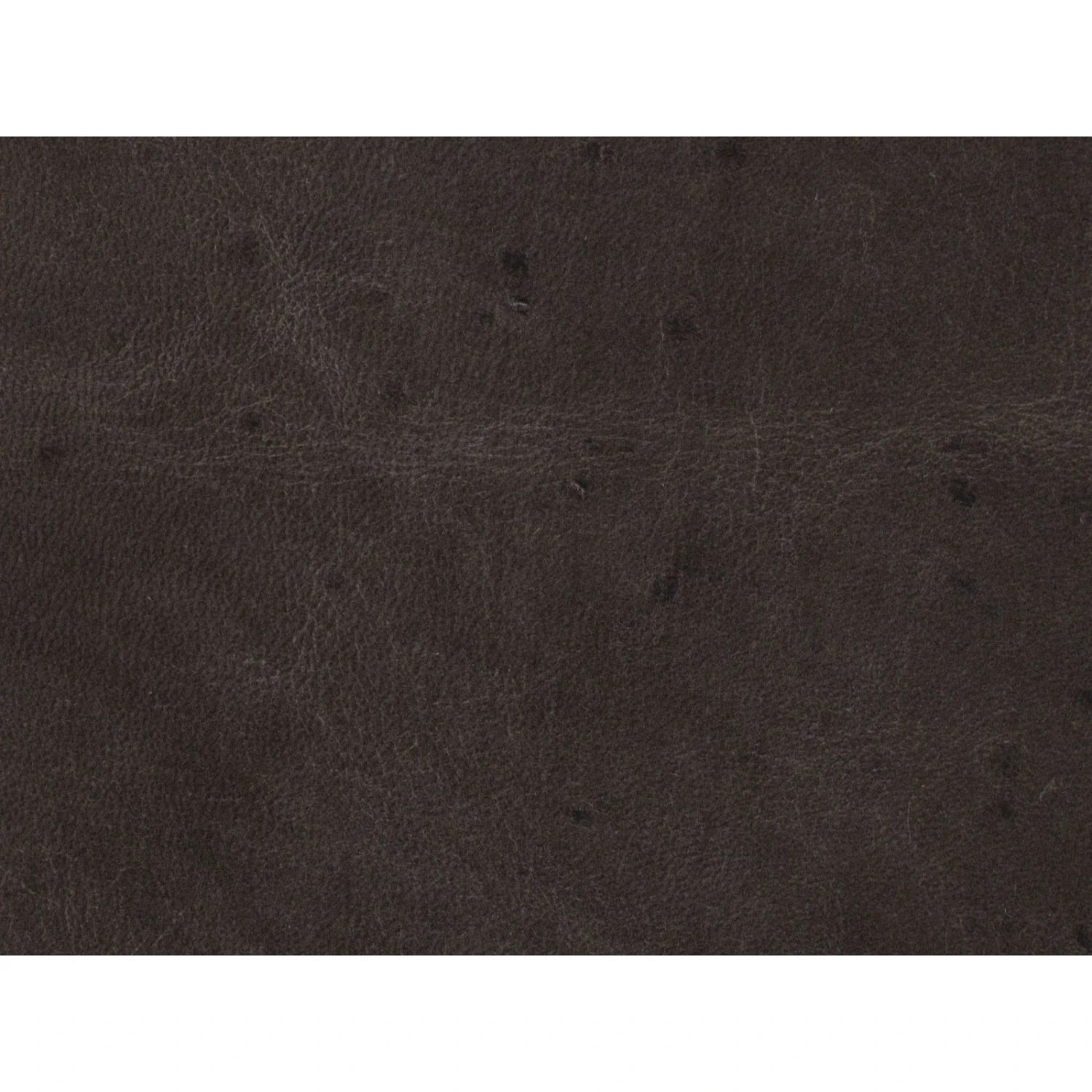 Hooker Furniture Maya Wing Club Chair 8 Hooker Furniture Maya Wing Club Chair - Image 8