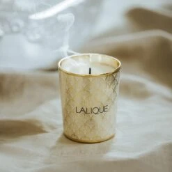 Lalique Noir Premier Plume Blanche 1901 Scented Candle -Grayson-Living Lalique Noir Premier Plume Blanche 1901 Scented Candle B25181 4