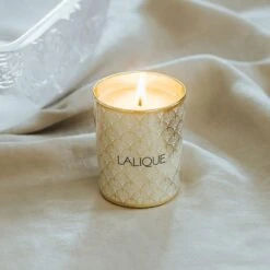 Lalique Noir Premier Plume Blanche 1901 Scented Candle -Grayson-Living Lalique Noir Premier Plume Blanche 1901 Scented Candle B25181 5