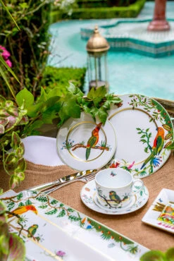 Haviland Alain Thomas Red Parrot Dinner Plate - Large -Grayson-Living Lifestyle Alain thomas 1024x1024 2x 72f41090 506e 4ac2 8f76 dd60e80c216a