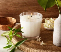 Nest Bamboo 3-Wick Candle -Grayson-Living NESTNY CORE BM CAN 3W 2 1536x jpg