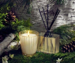 Nest Birchwood Pine Classic Candle & Diffuser Set 7 Nest Birchwood Pine Classic Candle & Diffuser Set -Grayson-Living NESTNY FF BP SET CAN CL DIF REED 2 1536x jpg
