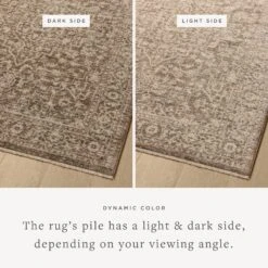 Loloi II Newman NEW-02 Dark Taupe / Natural Rug DC10 -Grayson-Living NEWMNEW 02DTNA 14