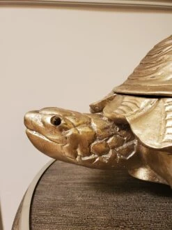 Turtle Box Statue Floor Sample -Grayson-Living TurtleStatue CloseUp