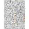 Surya Amore AMO-2302 Rug