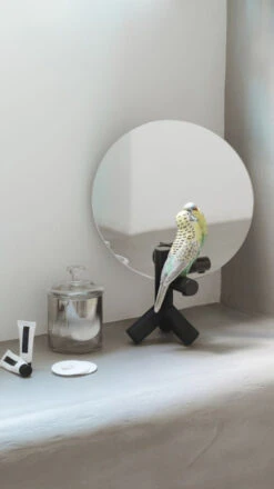 Lladro Parrot Vanity Vanity Mirror 5 Lladro Parrot Vanity Vanity Mirror -Grayson-Living b9512649462d6d8225c57d039f112a993a7fdfc927d40eb494de17e8834375cd8df949d7ff3f12860deaf389204e50db0b9f26ca8140cec5152123933a86302e