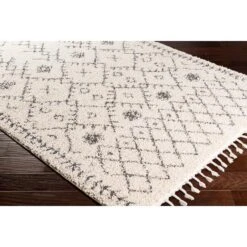Surya Berber Shag BBE-2302 Rug -Grayson-Living bbe2302